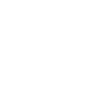 Icon representing the Counter-Terrorist side in CS2, featuring a white defuse kit with two wings on either side